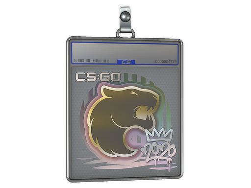 Item Sticker Slab | FURIA | 2020 RMR