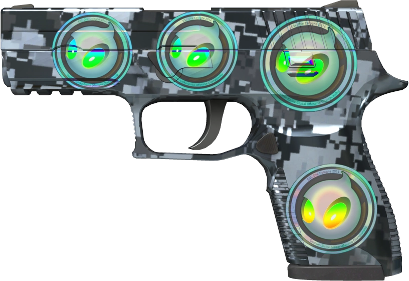Item P250 | Steel Disruption