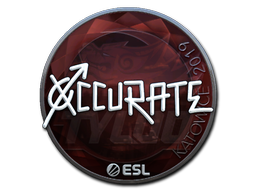 Item Sticker | xccurate (Foil) | Katowice 2019