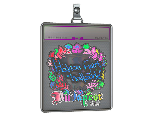 Item Sticker Slab | hallzerk (Holo) | Budapest 2025