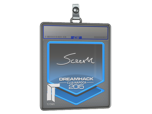 Item Sticker Slab | ScreaM | Cluj-Napoca 2015