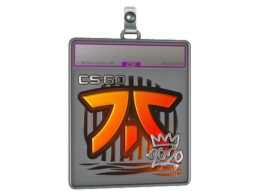 Item Sticker Slab | Fnatic (Foil) | 2020 RMR