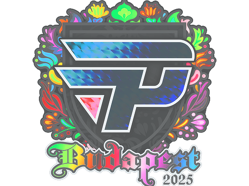 Item Sticker | paiN Gaming (Holo) | Budapest 2025