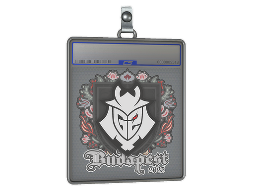 Item Sticker Slab | G2 esports | Budapest 2025