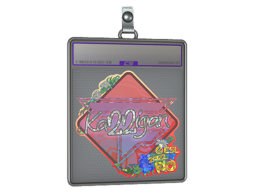 Item Sticker Slab | karrigan (Glitter) | Rio 2022