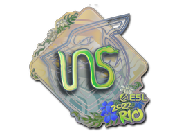 Item Sticker | INS (Holo) | Rio 2022