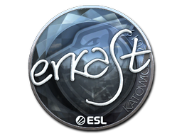 Item Sticker | erkaSt (Foil) | Katowice 2019