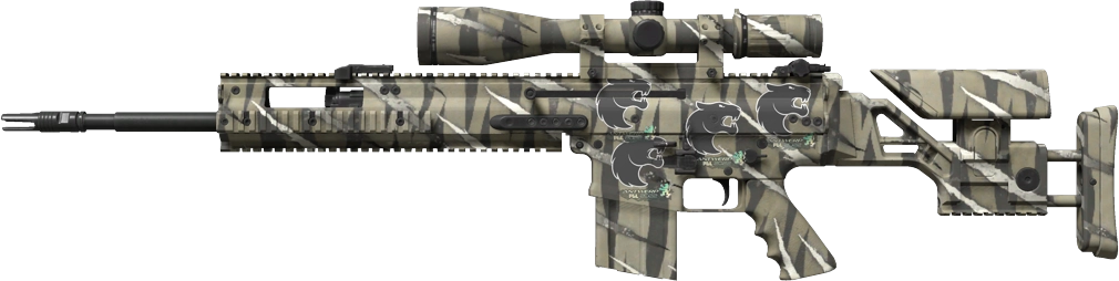 Item SCAR-20 | Torn