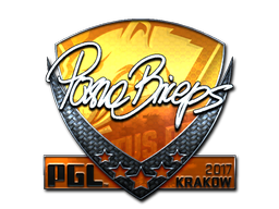 Item Sticker | pashaBiceps (Foil) | Krakow 2017