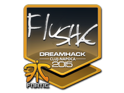 Item Sticker | flusha | Cluj-Napoca 2015