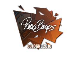 Item Sticker | pashaBiceps | Cologne 2016