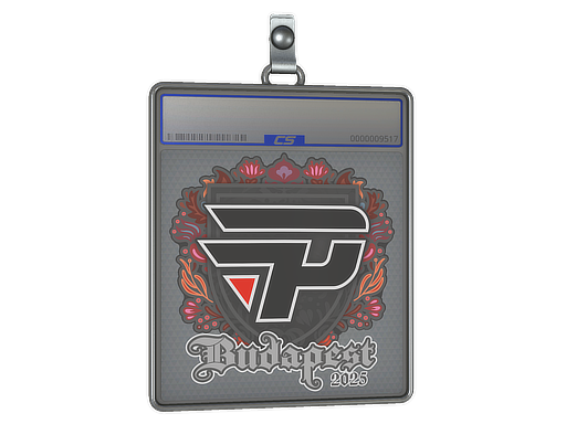 Item Sticker Slab | paiN Gaming | Budapest 2025