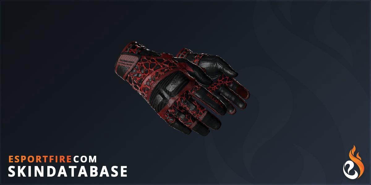 Moto Gloves Blood Pressure