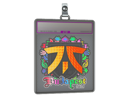 Item Sticker Slab | fnatic (Holo) | Budapest 2025