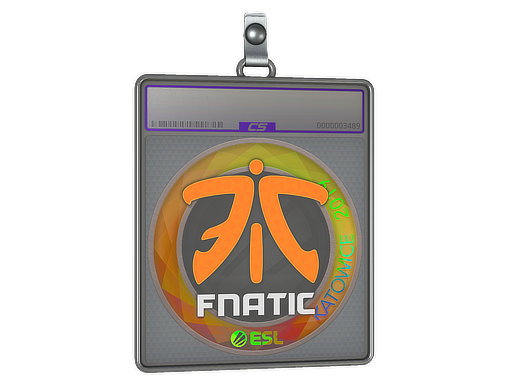 Item Sticker Slab | Fnatic (Holo) | Katowice 2019