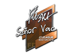 Item Sticker | flusha | Boston 2018