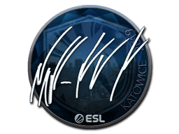 Item Sticker | NAF (Foil) | Katowice 2019