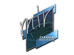 Item Sticker | mir | Boston 2018