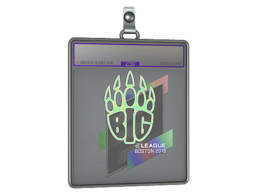 Item Sticker Slab | BIG (Holo) | Boston 2018