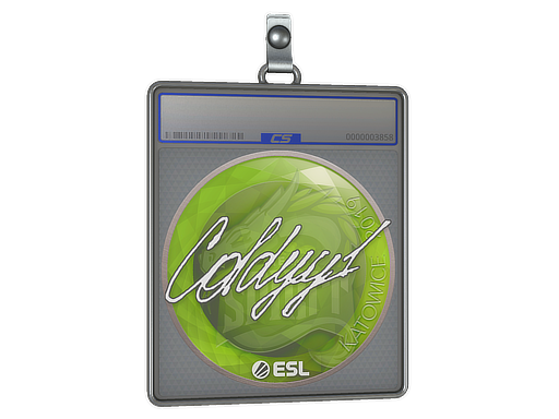 Item Sticker Slab | COLDYY1 | Katowice 2019