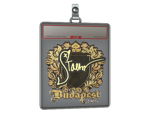 Item Sticker Slab | Staehr (Gold) | Budapest 2025