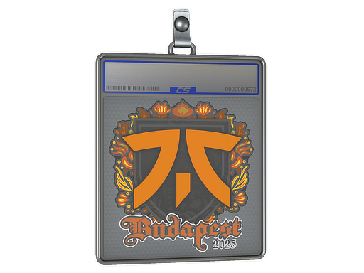 Item Sticker Slab | fnatic | Budapest 2025
