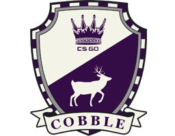 Item Cobblestone Collection