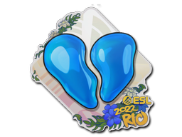 Cosmetic Sticker | 00 Nation | Rio 2022 of Craft