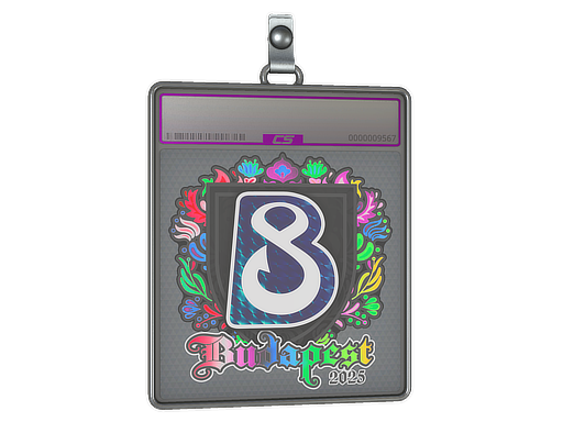 Item Sticker Slab | B8 (Holo) | Budapest 2025