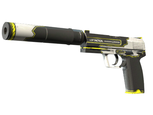 Item USP-S | Torque