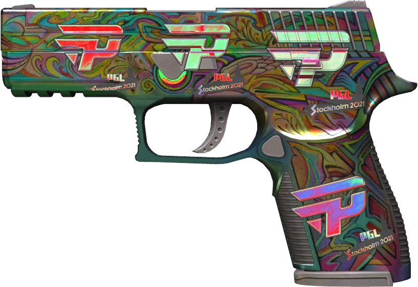 Item P250 | Visions