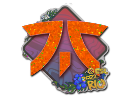Item Sticker | Fnatic (Glitter) | Rio 2022