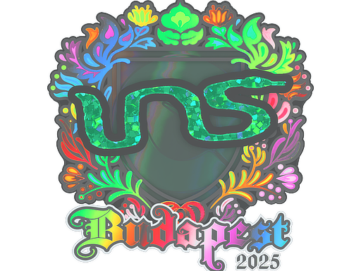 Item Sticker | INS (Holo) | Budapest 2025