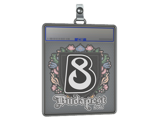 Item Sticker Slab | B8 | Budapest 2025