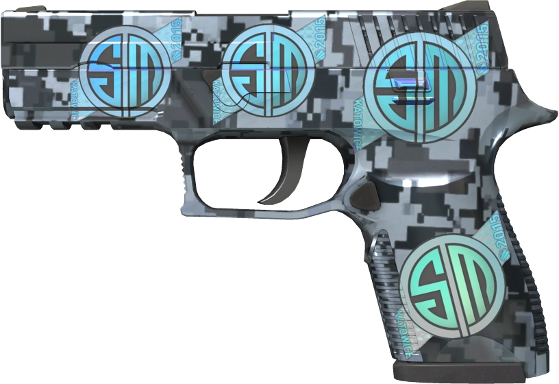 Item P250 | Steel Disruption