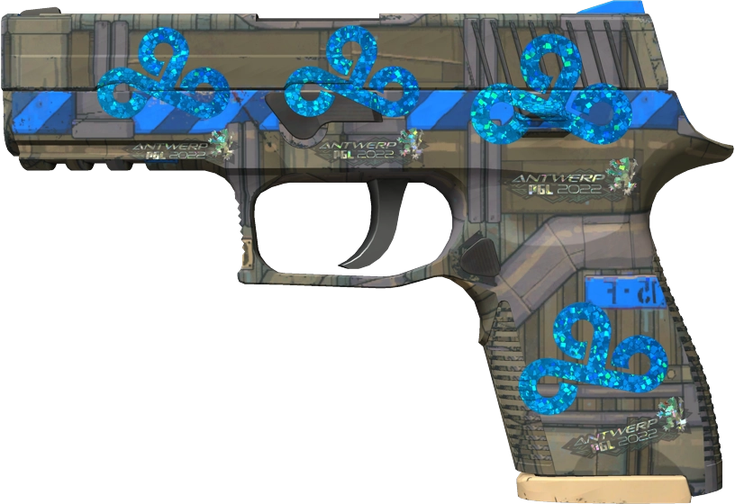 Item P250 | Exchanger