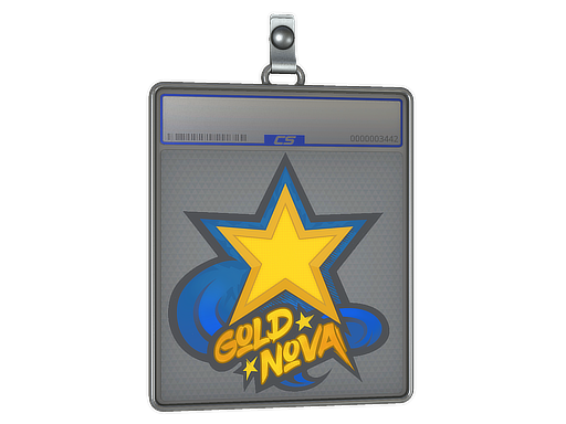Item Sticker Slab | Gold Nova