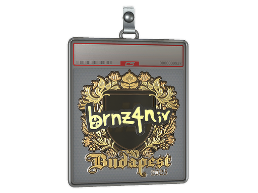 Item Sticker Slab | brnz4n (Gold) | Budapest 2025