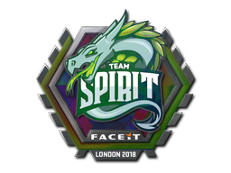 Item Sticker | Team Spirit (Holo) | London 2018