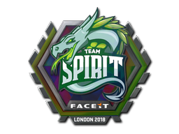 Cosmetic Sticker | Team Spirit (Holo) | London 2018 of Craft