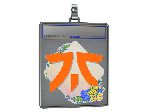 Item Sticker Slab | Fnatic | Rio 2022