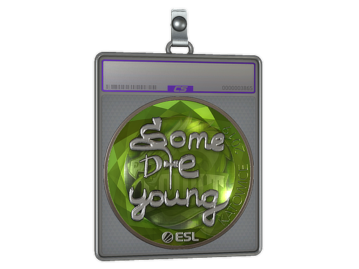 Item Sticker Slab | sdy (Foil) | Katowice 2019