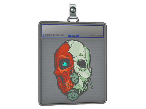 Item Sticker Slab | Combine Helmet