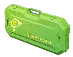 Item eSports 2014 Summer Case