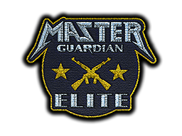 Item Patch | Metal Master Guardian Elite