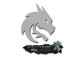 Item Sticker | Team Spirit | Antwerp 2022