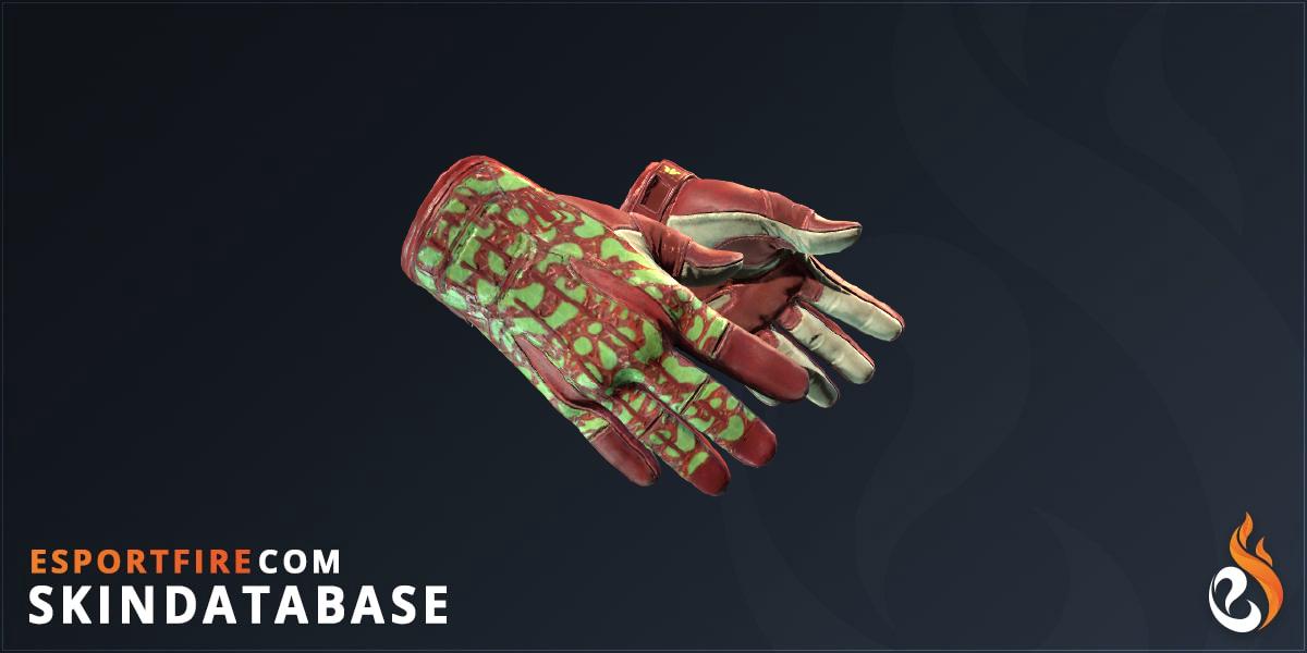 Sport Gloves Bronze Morph