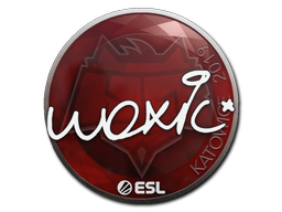 Item Sticker | woxic | Katowice 2019