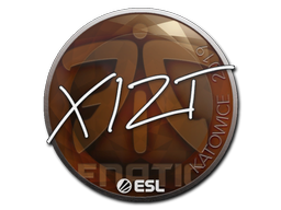 Item Sticker | Xizt | Katowice 2019