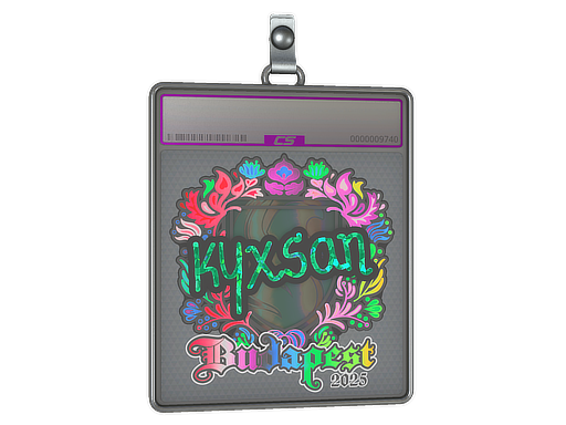 Item Sticker Slab | kyxsan (Holo) | Budapest 2025